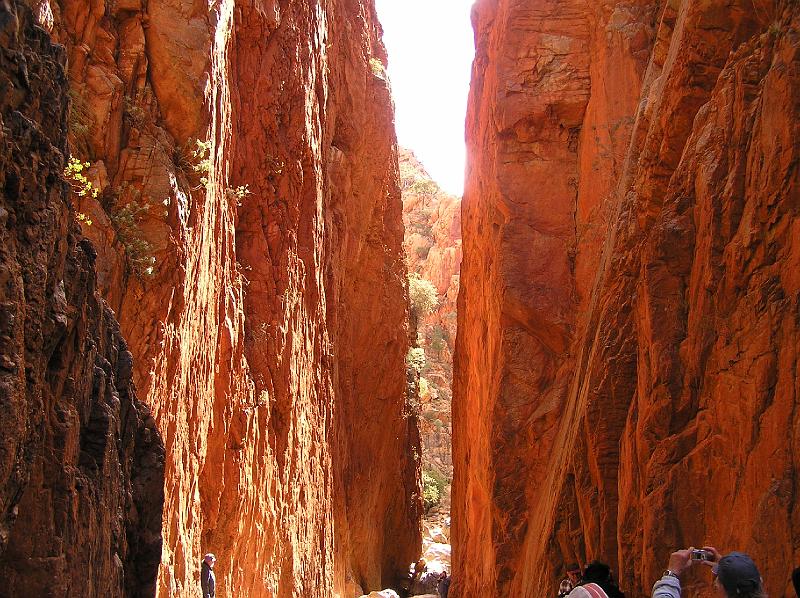 Standley Chasm,Western  Mc Donnell Ranges.jpg - Der Einschnitt zwischen den fast 100 m aufragenden Quarzitwänden ist nur wenige Meter schmal, so dass nur die senkrechten Sonnenstrahlen der Mittagszeit bis auf den Grund der Schlucht dringen und die Wände in rotbraunen Farbtönen erleuchten lässt.